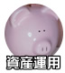 ���Y�^�p100�N�Ɉ�x�̕s�����瓾������